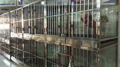 节前宠物寄养“一笼难求” 部分店家不知资质为何物(图1) 节前宠物寄养“一笼难求” 部分店家不知资质为何物(图1)