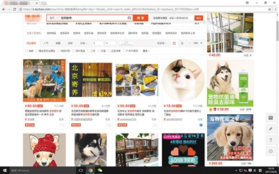 节前宠物寄养“一笼难求” 部分店家不知资质为何物(图2) 节前宠物寄养“一笼难求” 部分店家不知资质为何物(图2)