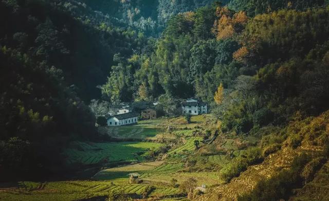 乡村振兴中的“篁岭模式”！保护了生态，传承了文化，带富了百姓(图4)