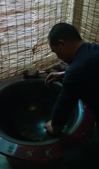 这个四川人,让川茶征服了联合国(图15) 这个四川人,让川茶征服了联合国(图15)