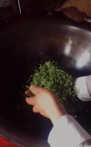 这个四川人,让川茶征服了联合国(图14) 这个四川人,让川茶征服了联合国(图14)