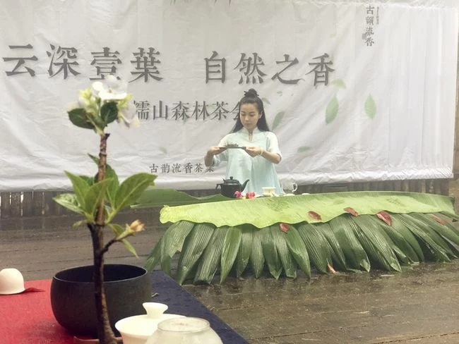 拨开古树普洱茶的迷雾 古韵流香茶山游学侧记(图14) 拨开古树普洱茶的迷雾 古韵流香茶山游学侧记(图14)