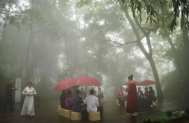拨开古树普洱茶的迷雾 古韵流香茶山游学侧记(图15) 拨开古树普洱茶的迷雾 古韵流香茶山游学侧记(图15)