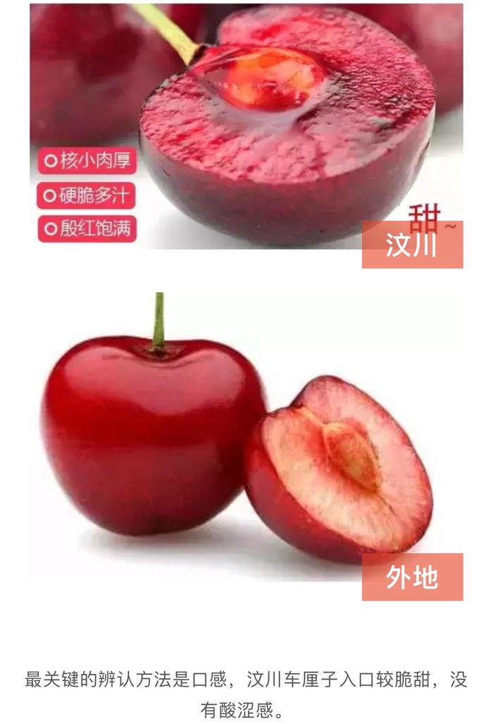 阿坝州的果果红了，你想吃汶川车厘子还是汶川甜樱桃？(图28)