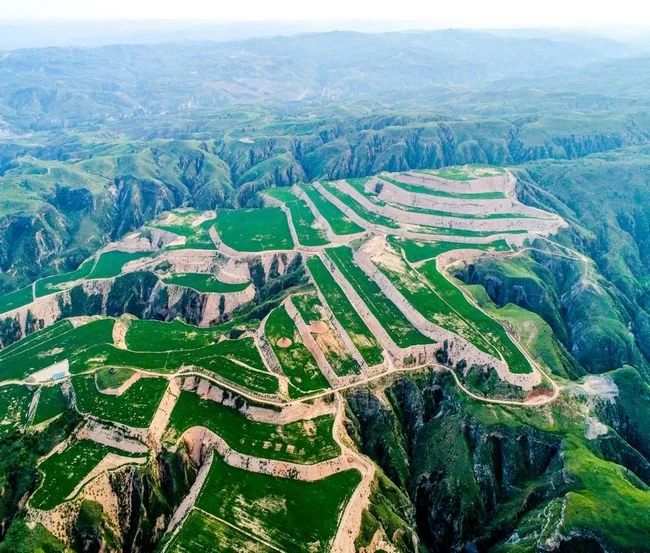 “农”墨重彩 大地生金——陕西榆林农业现代化水平全面提升(图1) “农”墨重彩 大地生金——陕西榆林农业现代化水平全面提升(图1)