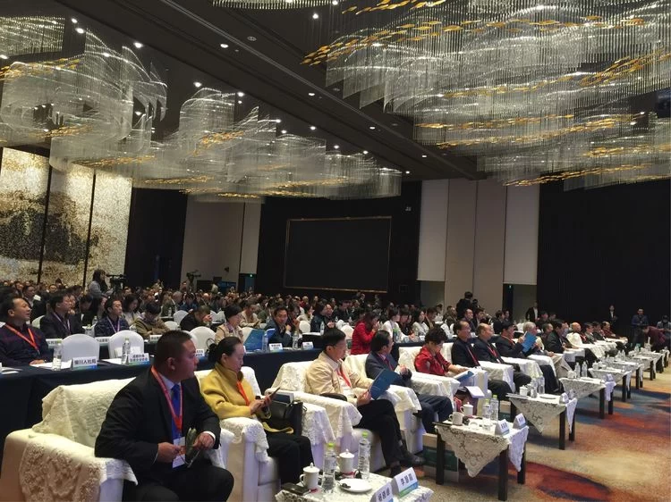 首届国际医养产业合作大会在蓉举办 陈红涛教授获“养生功法创新奖”(图2) 首届国际医养产业合作大会在蓉举办 陈红涛教授获“养生功法创新奖”(图2)