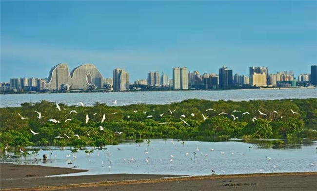 中国旅行社协会发布2018年度榜单和发展报告(图6) 中国旅行社协会发布2018年度榜单和发展报告(图6)