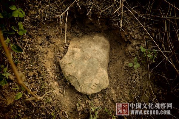 广西那坡发现旧石器遗址群(图3)