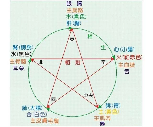 中医考研中医基础理论背诵歌诀!(图3) 中医考研中医基础理论背诵歌诀!(图3)