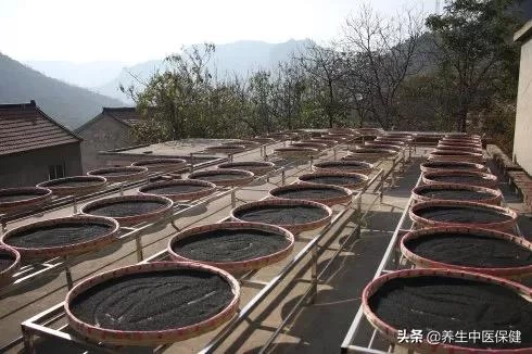 公认“天然黑发王”,不是桑葚,不是黑芝麻,生黑发增发量显年轻(图7) 公认“天然黑发王”,不是桑葚,不是黑芝麻,生黑发增发量显年轻(图7)