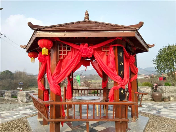 华家大湾的春天:文化旅游带动乡村振兴的“黄冈样本”(图3) 华家大湾的春天:文化旅游带动乡村振兴的“黄冈样本”(图3)