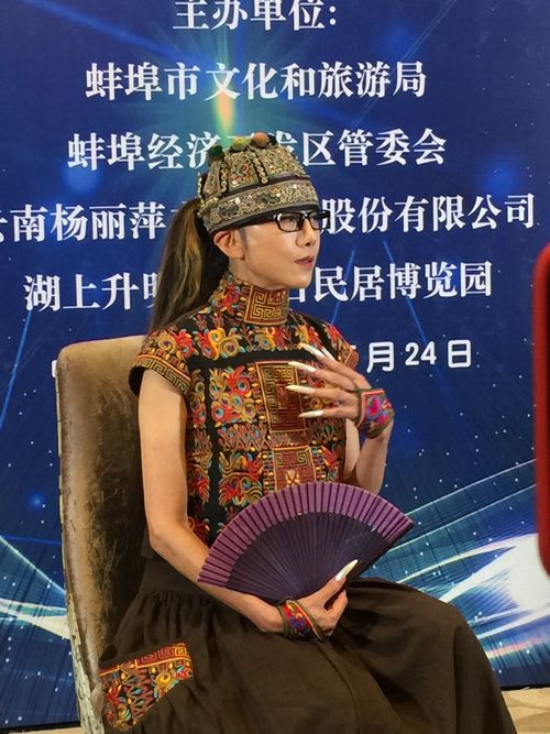 杨丽萍艺术岛落户安徽蚌埠 古民居博览园增添白族特色(图3) 杨丽萍艺术岛落户安徽蚌埠 古民居博览园增添白族特色(图3)