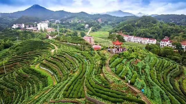 雨后青山分外娇——湖北英山扎实推进国家公共文化服务体系示范区创建(图3) 雨后青山分外娇——湖北英山扎实推进国家公共文化服务体系示范区创建(图3)