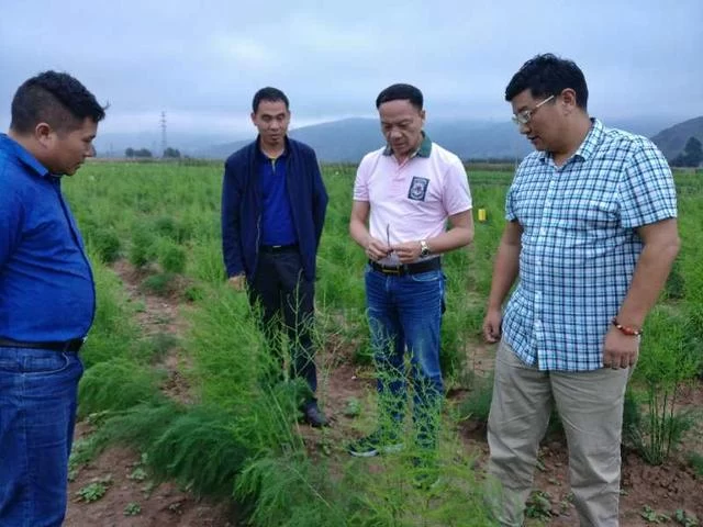 17个农民兄弟和第一个蔬菜产销合作社(图3) 17个农民兄弟和第一个蔬菜产销合作社(图3)
