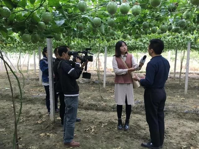 现实版《放牛班的春天》:扶贫路上,他在大山里建了支童声合唱团(图12) 现实版《放牛班的春天》:扶贫路上,他在大山里建了支童声合唱团(图12)