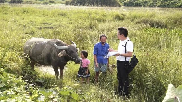 现实版《放牛班的春天》:扶贫路上,他在大山里建了支童声合唱团(图4) 现实版《放牛班的春天》:扶贫路上,他在大山里建了支童声合唱团(图4)