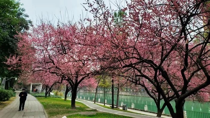 龙顺:春天的光(图3) 龙顺:春天的光(图3)