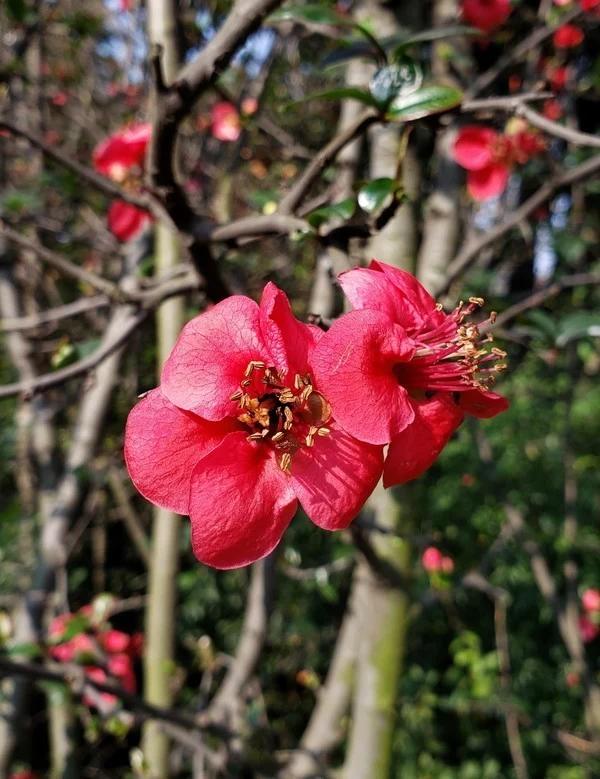 龙顺:春天的光(图1) 龙顺:春天的光(图1)