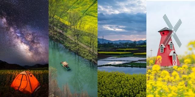 汉中市文化和旅游局＂花与视界＂线上美学艺术馆开展