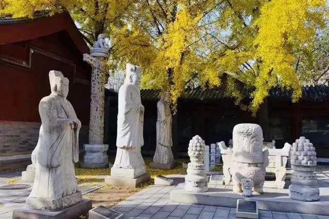春暖花开季 阅读正当时——角楼图书馆线上直播"2020读城"活动启动(图6) 春暖花开季 阅读正当时——角楼图书馆线上直播"2020读城"活动启动(图6)