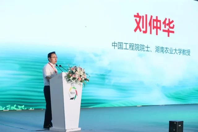 时代匠造——亮相全国茶业首展 四川茶博会(图7) 时代匠造——亮相全国茶业首展 四川茶博会(图7)