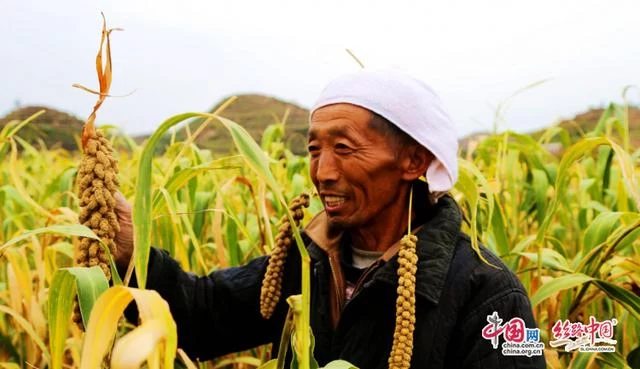 陕西米脂:做强产业支撑 推进脱贫攻坚与乡村振兴有机衔接(图2) 陕西米脂:做强产业支撑 推进脱贫攻坚与乡村振兴有机衔接(图2)