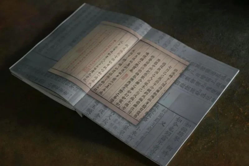 永不过时的黑白艺术,《又见老虎》新书签售会在上海举办(图5) 永不过时的黑白艺术,《又见老虎》新书签售会在上海举办(图5)