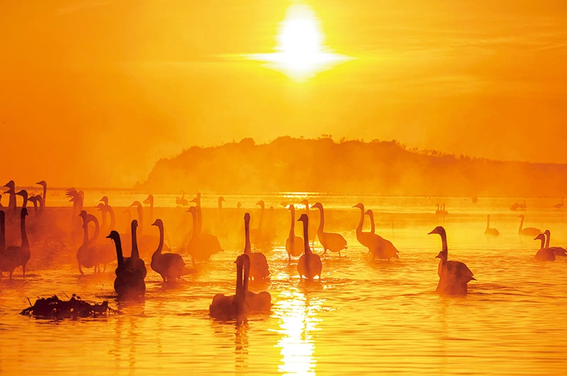 肩负起新时代建设美丽中国的历史使命(图3) 肩负起新时代建设美丽中国的历史使命(图3)