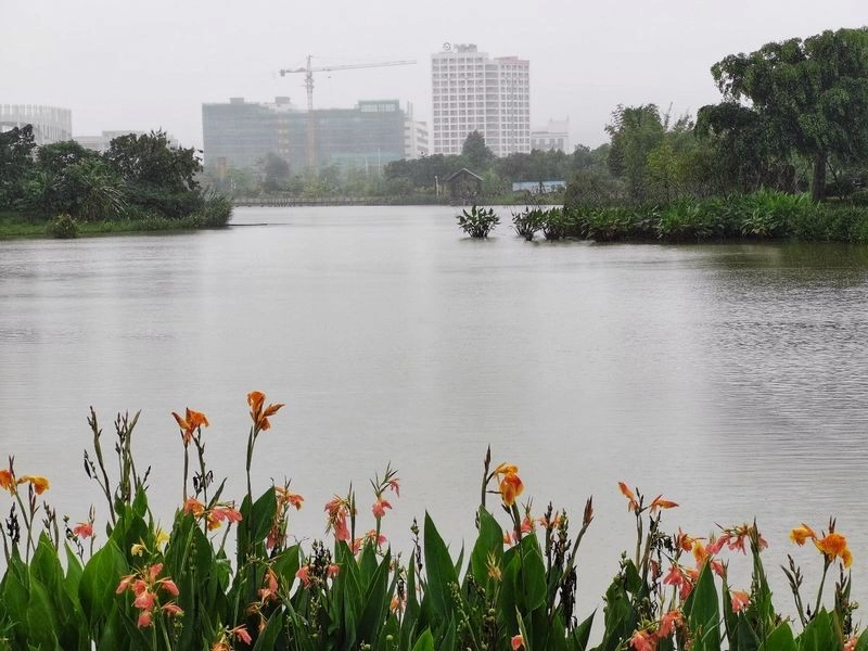 广东东莞:诗歌助力推进建设生态美丽城市(图2) 广东东莞:诗歌助力推进建设生态美丽城市(图2)