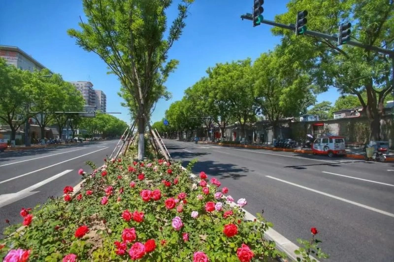 战“疫”东城丨许你一路繁花(图8) 战“疫”东城丨许你一路繁花(图8)