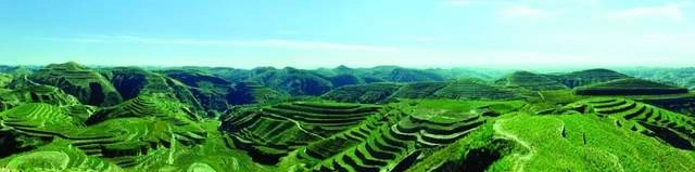 黄土高原生态治理样板村高西沟:四任班子三代人的“绿色接力”(图4) 黄土高原生态治理样板村高西沟:四任班子三代人的“绿色接力”(图4)