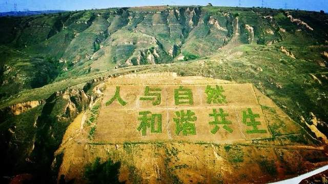 城市品质全域嬗变 发展能级持续跃升——砥砺奋进的神木步履铿锵(图6)