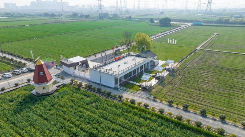 春日里的“美丽经济”:新业态给村里带来新活力