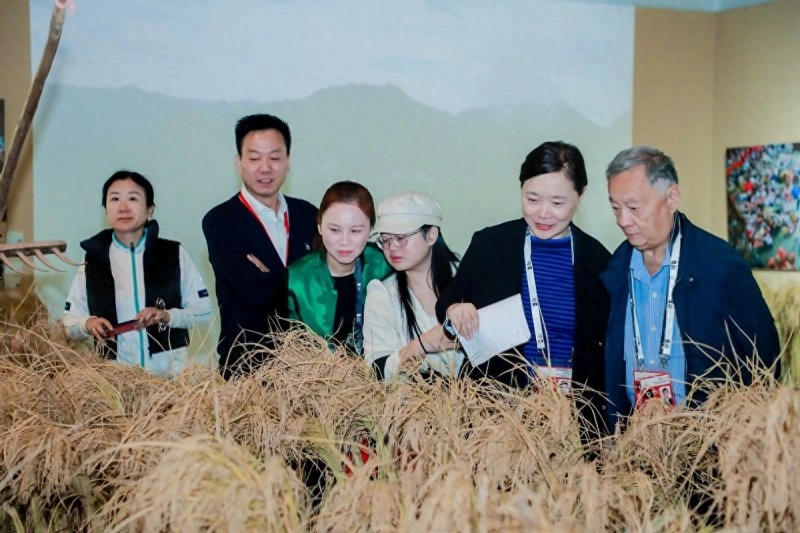 “全球农遗·中国稻作文化影像展”在中华世纪坛开幕(图2) “全球农遗·中国稻作文化影像展”在中华世纪坛开幕(图2)