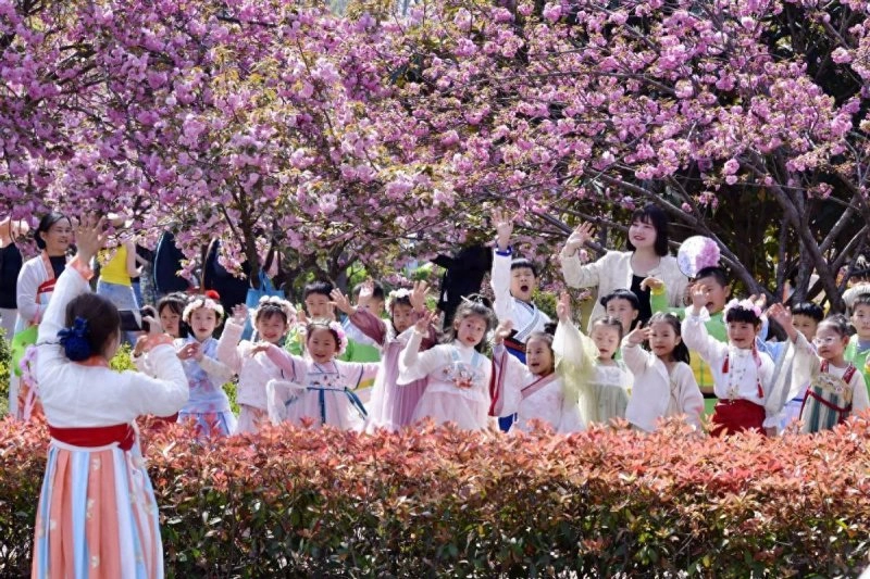 河南鹤壁淇滨区:游客赏花更护花 满城文明处处景(图1) 河南鹤壁淇滨区:游客赏花更护花 满城文明处处景(图1)
