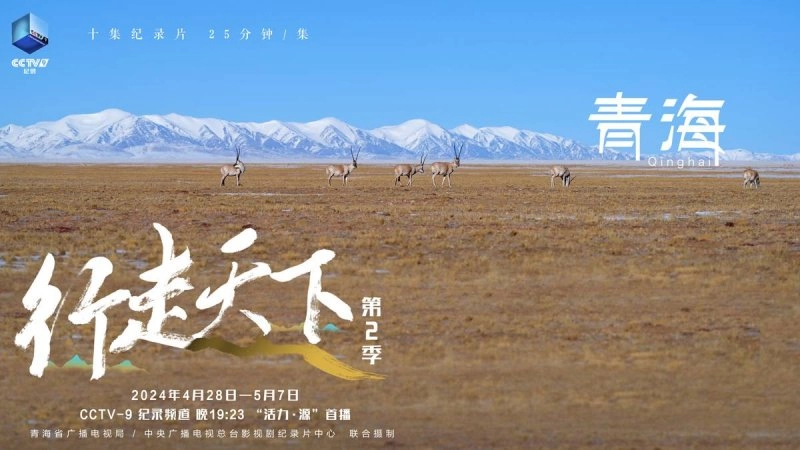 《行走天下——青海》:用优秀纪录片讲好新时代青海故事(图3) 《行走天下——青海》:用优秀纪录片讲好新时代青海故事(图3)