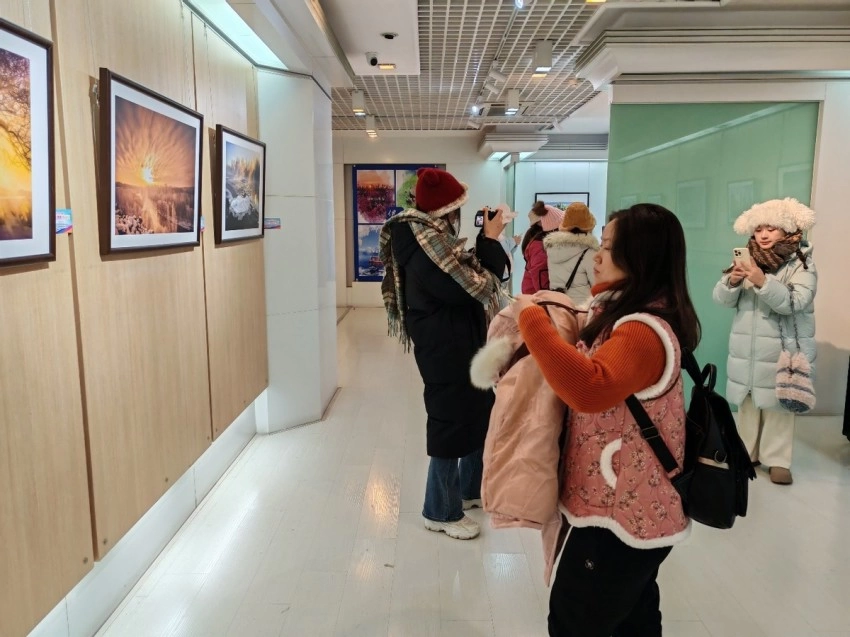 “大美伊春·魅力丰林”冬季风光摄影作品展首站在哈尔滨开幕(图2)