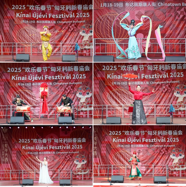 新春乐章唱响多瑙河畔——2025年欢乐春节演出活动在匈牙利布达佩斯举行(图5)