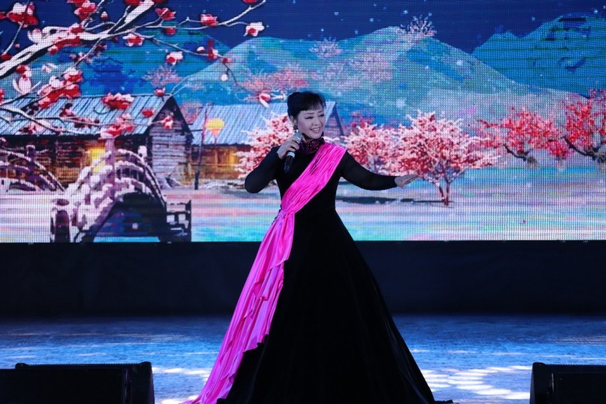 传递祖国关怀　共庆佳节团圆——“亲情中华·四海同春”慰侨演出走进尼泊尔(图4)
