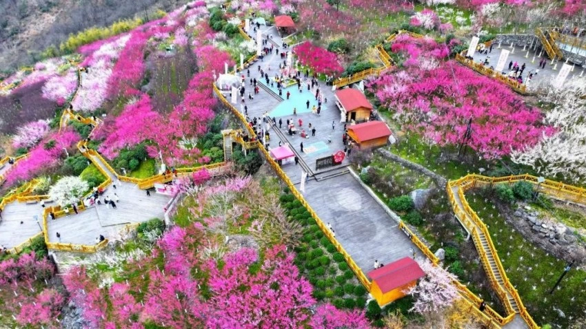 当青春遇上美景 探秘宁陕文旅的N种精彩(图7) 当青春遇上美景 探秘宁陕文旅的N种精彩(图7)