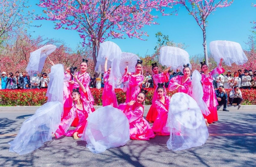 鹤舞樱飞向未来 十有城市展画卷——第十一届鹤壁樱花季全景扫描(图5) 鹤舞樱飞向未来 十有城市展画卷——第十一届鹤壁樱花季全景扫描(图5)