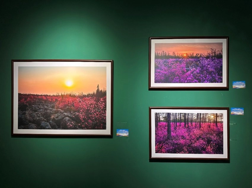展示丰林四季旅游资源,“大美伊春·魅力丰林”四季风光摄影作品展上海站开幕(图5) 展示丰林四季旅游资源,“大美伊春·魅力丰林”四季风光摄影作品展上海站开幕(图5)