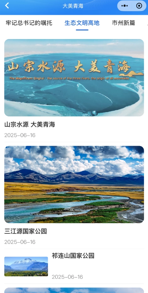 2025年“云上青洽会”:以“全方位立体交互矩阵”展现青海新风貌(图3) 2025年“云上青洽会”:以“全方位立体交互矩阵”展现青海新风貌(图3)