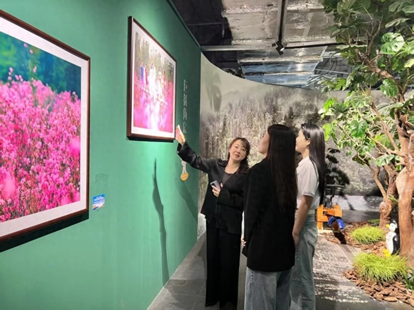 影像为笔，绘就文旅新篇——“大美伊春˙魅力丰林”四季风光摄影作品展三城巡展圆满落幕(图1)