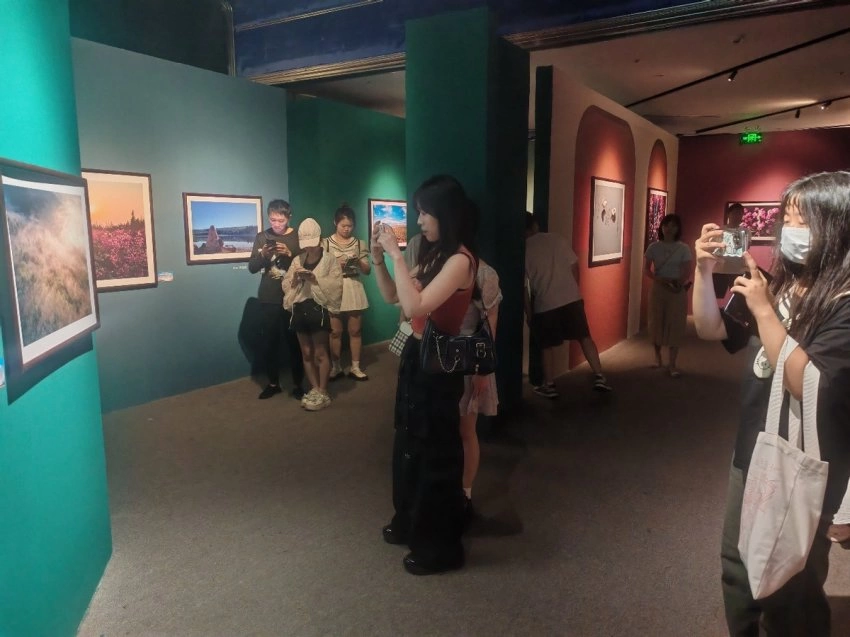 影像为笔，绘就文旅新篇——“大美伊春˙魅力丰林”四季风光摄影作品展三城巡展圆满落幕(图3)