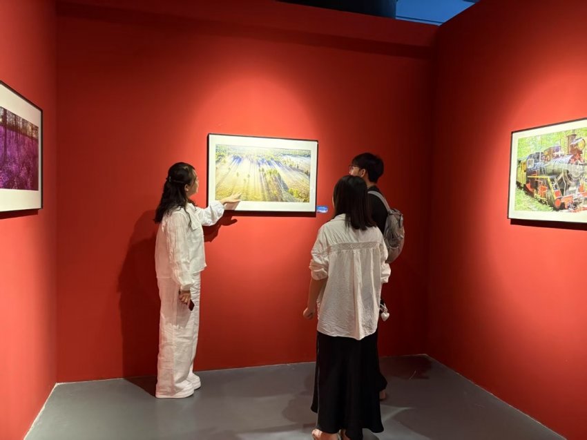 影像为笔，绘就文旅新篇——“大美伊春˙魅力丰林”四季风光摄影作品展三城巡展圆满落幕(图2)