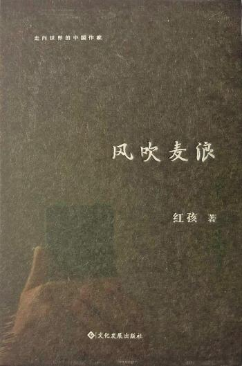 红孩:做一个把文学、哲学和生活打通的人(图8) 红孩:做一个把文学、哲学和生活打通的人(图8)