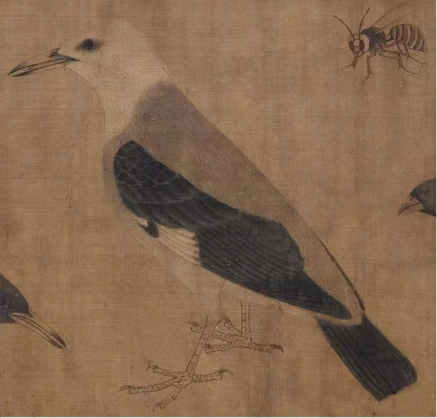 袁思陶:浅谈中国花鸟画蕴含的生命精神(图9) 袁思陶:浅谈中国花鸟画蕴含的生命精神(图9)