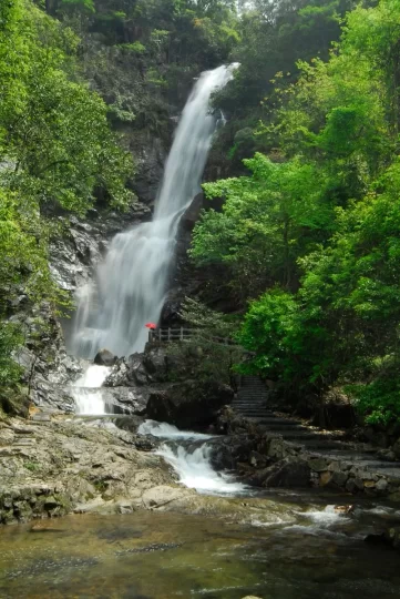 广西贺州姑婆山旅游度假区:走出一条绿色发展的“蝶变”之路(图4) 广西贺州姑婆山旅游度假区:走出一条绿色发展的“蝶变”之路(图4)