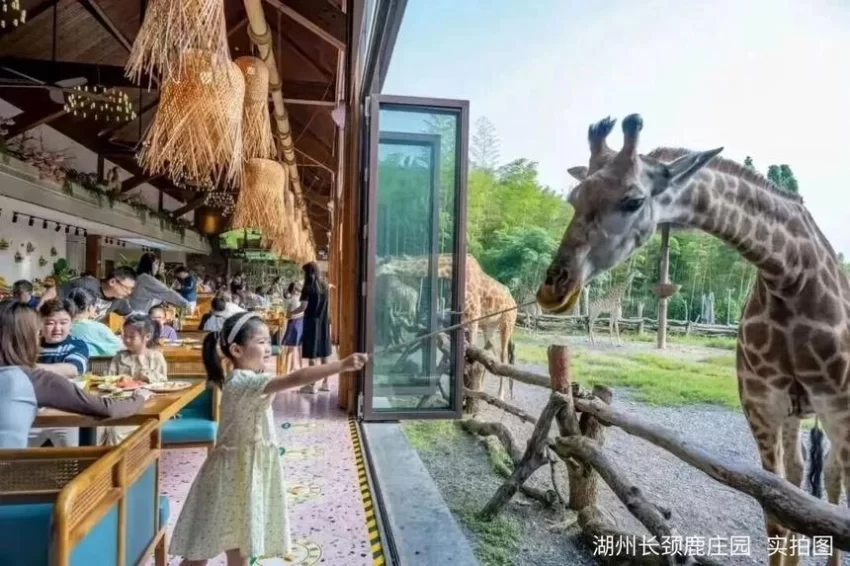 “聪明游”如何提供旅游新体验?(图4) “聪明游”如何提供旅游新体验?(图4)